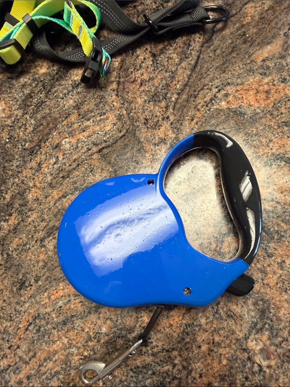 Blue Retractable Dog Leash with Black Handle